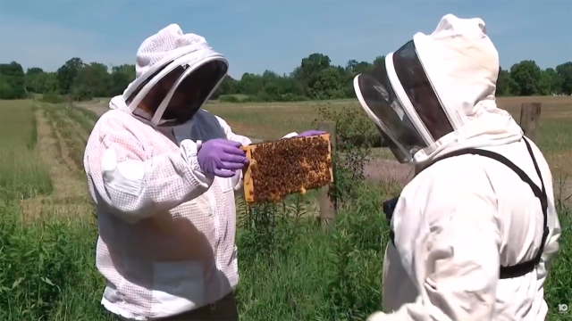 Two people dressed in beekeeping gear